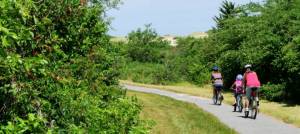 Biking along Head of the Meadow Bike Trail on Cape Cod