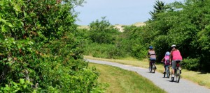 photos of tourists riding bikes along the Head of the Meadow Bike Trail with views of the Cape Cod sandunes and inlet marsh in the background