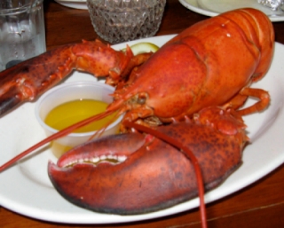 photo of a lobster dinner served at Provincetown restaraunts