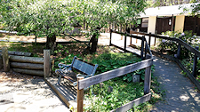 photo showing clean Cape Cod campgrounds outside men's showers, shaded bench and ramp access