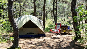 tent camping on Cape Cod campgrounds at North of Highland Camping Area