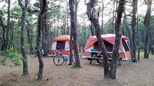 Bring your tent and your bicycle for memorable Cape Cod camping near the beach in a natural wooded setting