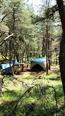 We can accommodate your Cape Cod camping equipment on our spacious campsites
