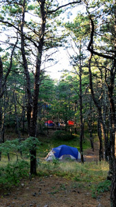 Cape Cod camping is an amazing way to see the beauty of Cape Cod