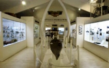 photo showing inside the Cape Cod museum at Pilgrim Monument in Provincetown