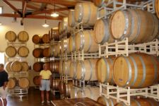 photo from inside the Truro Vineyards showing the wine barrels being aged