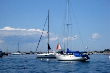 sailboats in the harbor on Cape Cod