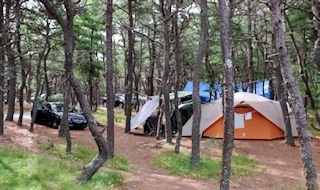 photo showing Cape Cod camping in tents at North of Highland