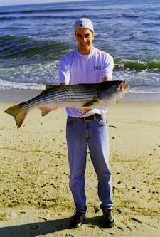photo of man holding a large striped bass he caught on the Cape Cod beaches in North Truro, MA