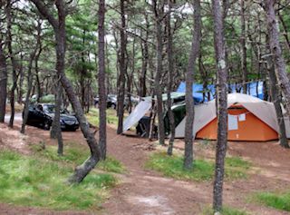 photo showing tents on Cape Cod campsites at North of Highland Camping Area