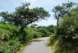 View along Cape Cod Bike Trails on Head of Meadow Bike Path