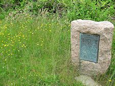 photo of plaque at Pilgrim Spring with yellow wild flowers growing beside it