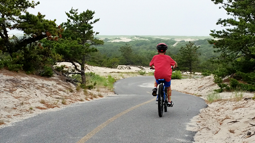 Enjoy the Cape Cod scenery while riding the Cape Cod Bike Trails along the Province Lands Trail in Provincetown