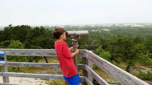 Stunning views of the Outer Cape from along the Provincelands Cape Cod bike trails
