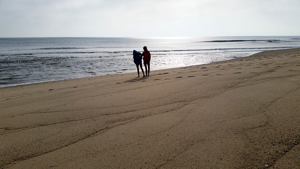 Instead of Cape Cod biking trails, try walking along Cape Cod's best beaches too