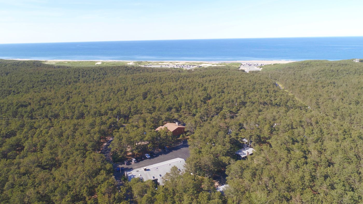 Drone photo view from above showing the natural camping environment at North of Highland Camping Area on Cape Cod